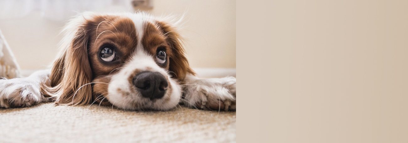 Bodenhandwerk